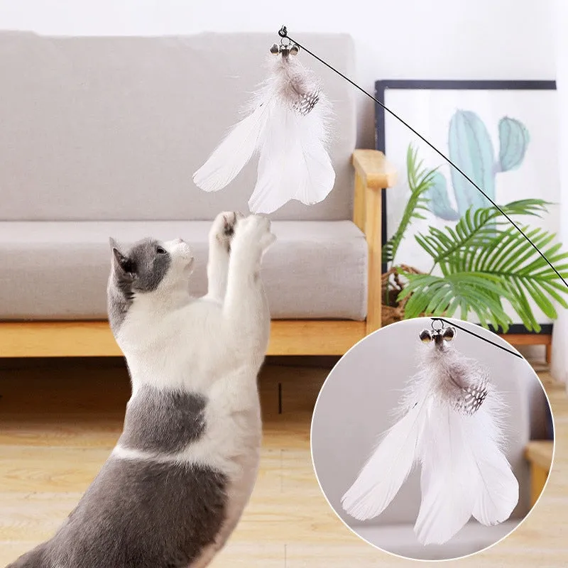 Interactive Feather Cat Toy