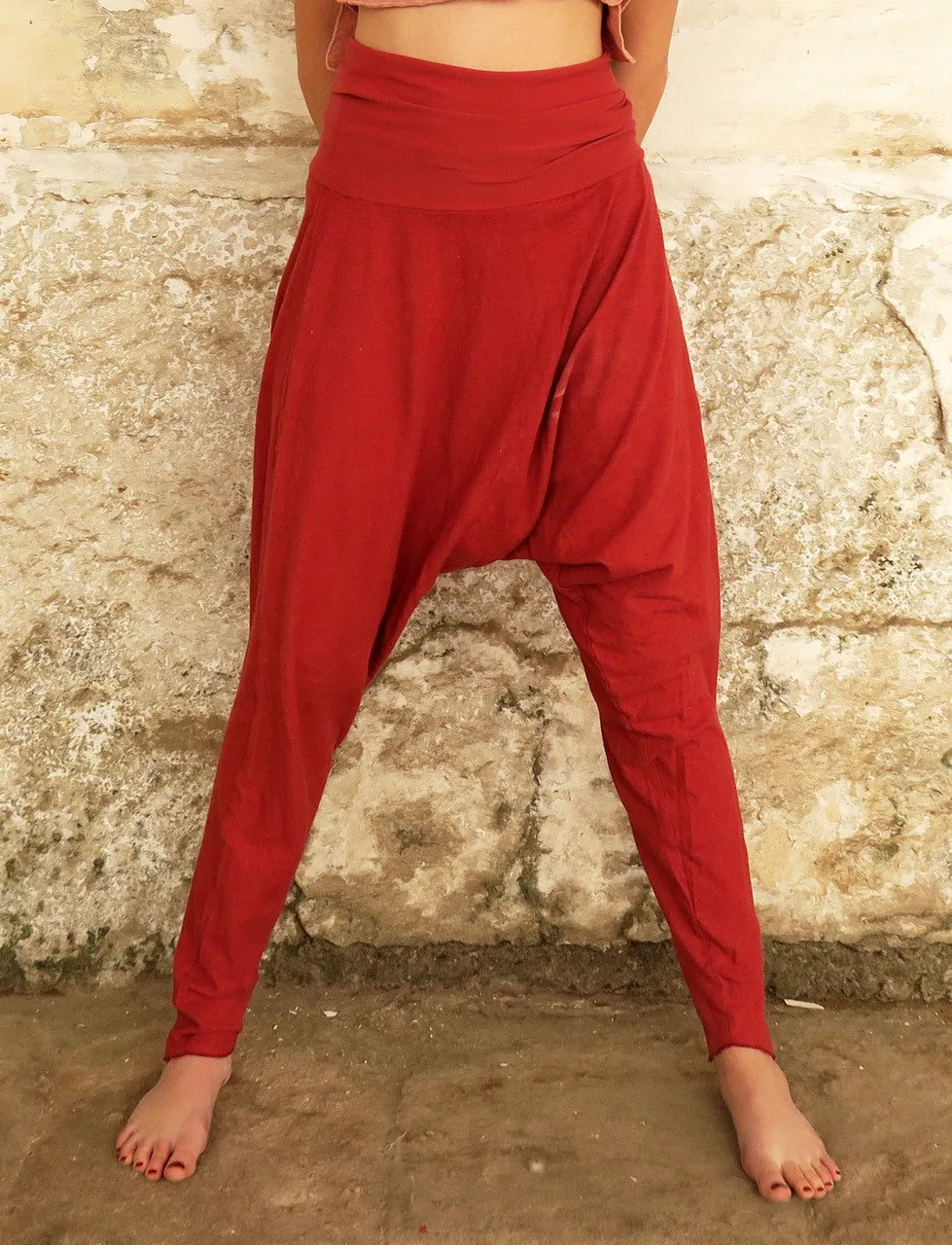 Jodhpur Pant