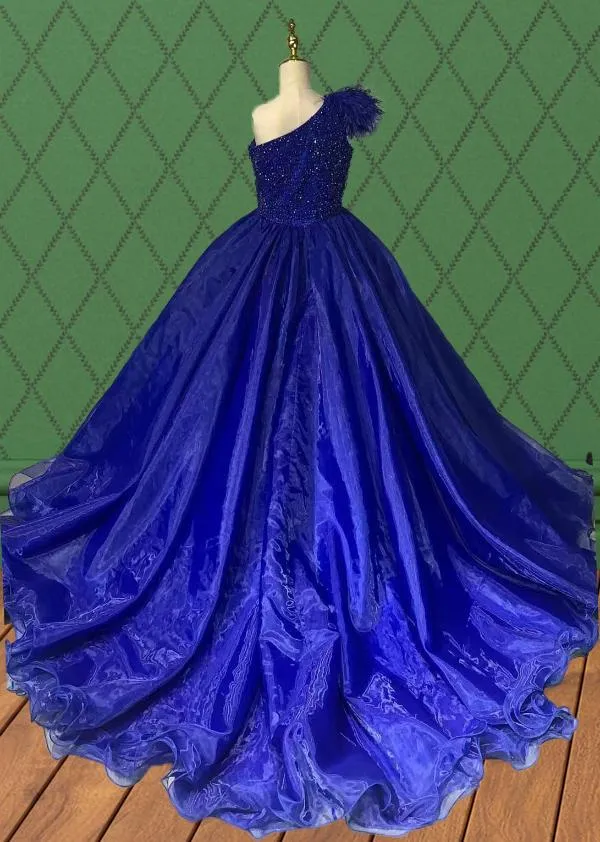 Kids Royal Stunning Pageant Gown with Feather