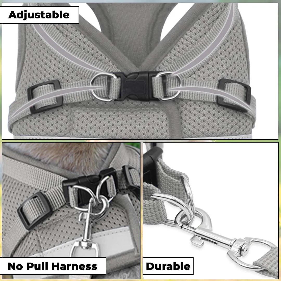 Kuber Industries Dog Chest Harness with Nylon Leash I No Pull, Soft Padded and Breathable Dog Vest I Adjustable, Reflective I Easy Control Dog Chest Belt I (XL, Grey)