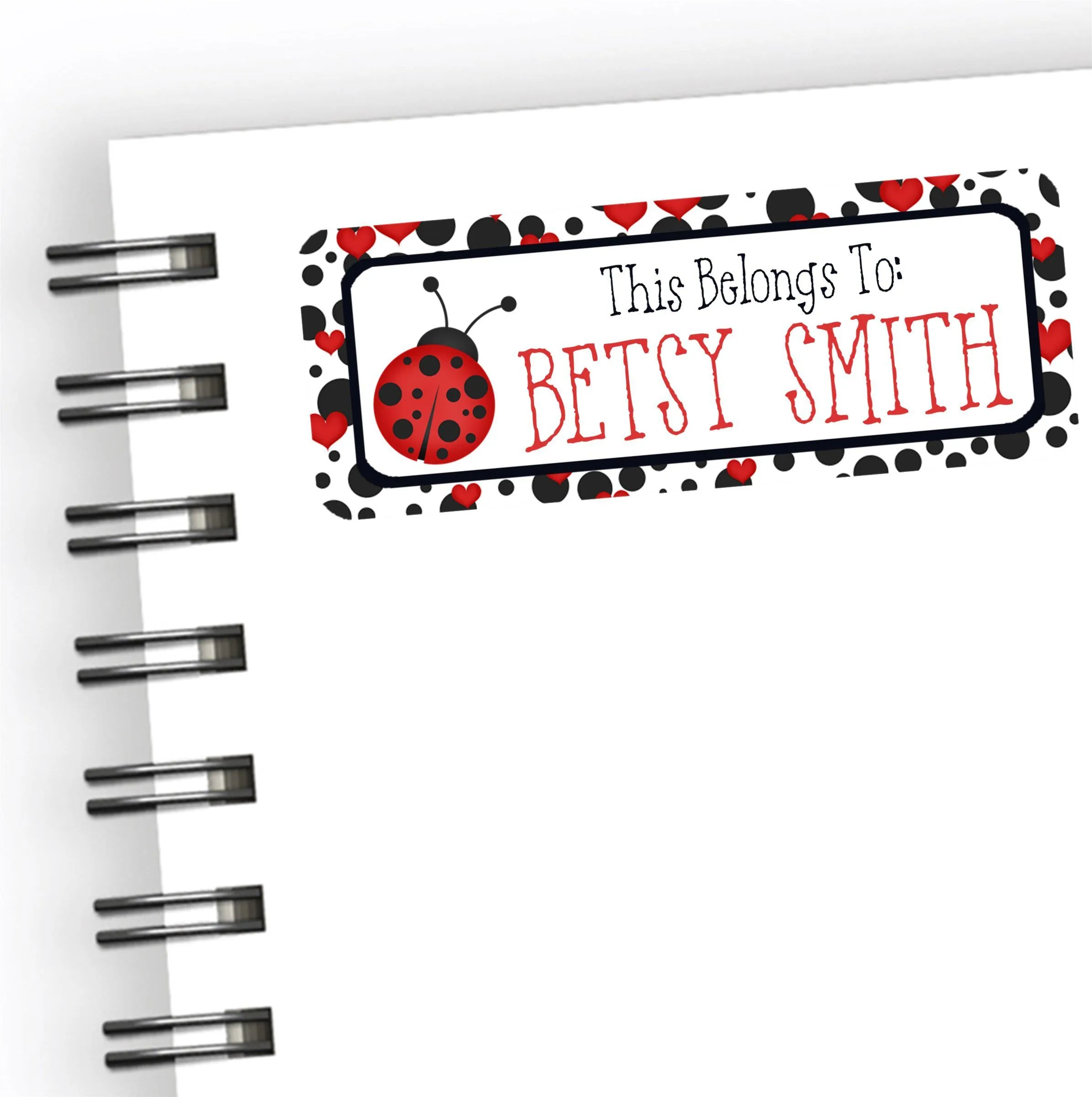 Ladybug Back To School Supply Name Labels