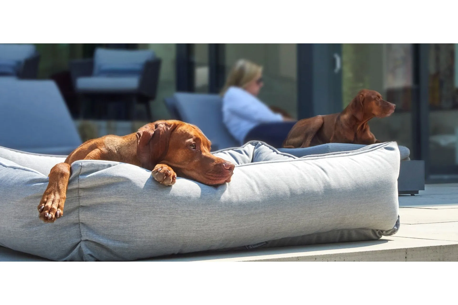 Lounger - Heather Gray - Dog Bed