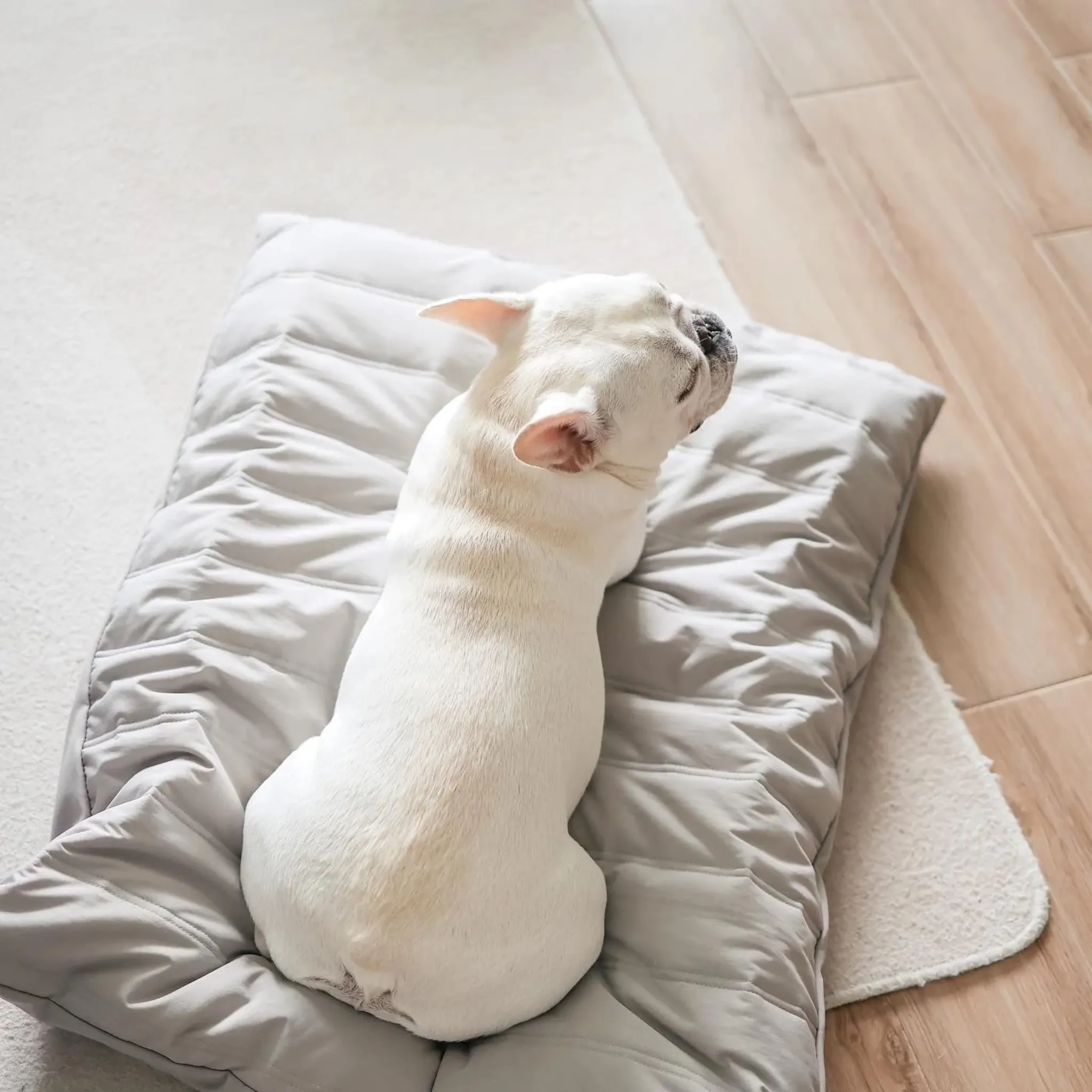 Maatin Reversible Memory Foam Pet Bed