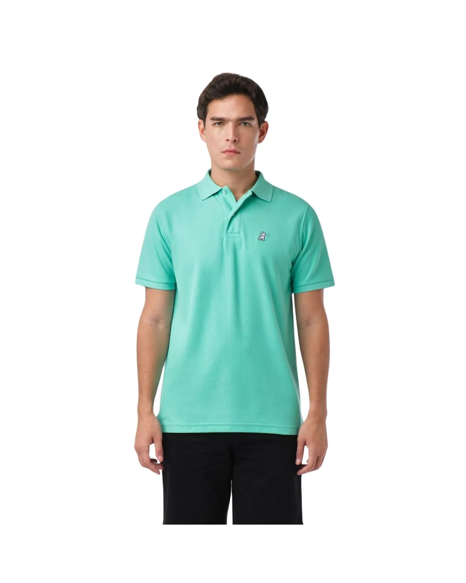 Men's Regular Fit Polo Shirt - Florida A11