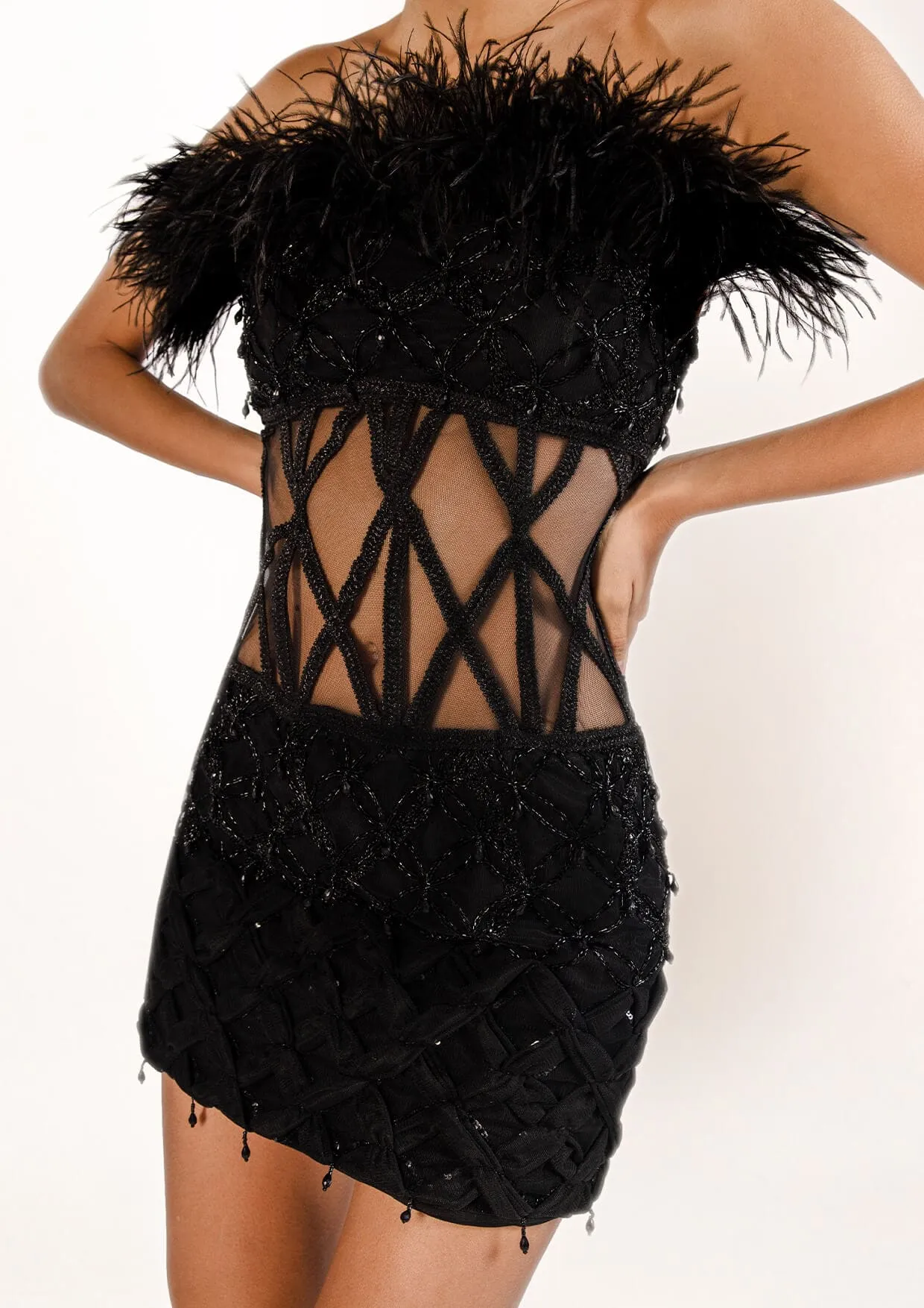 Mona Feathered Sheer Mini Dress