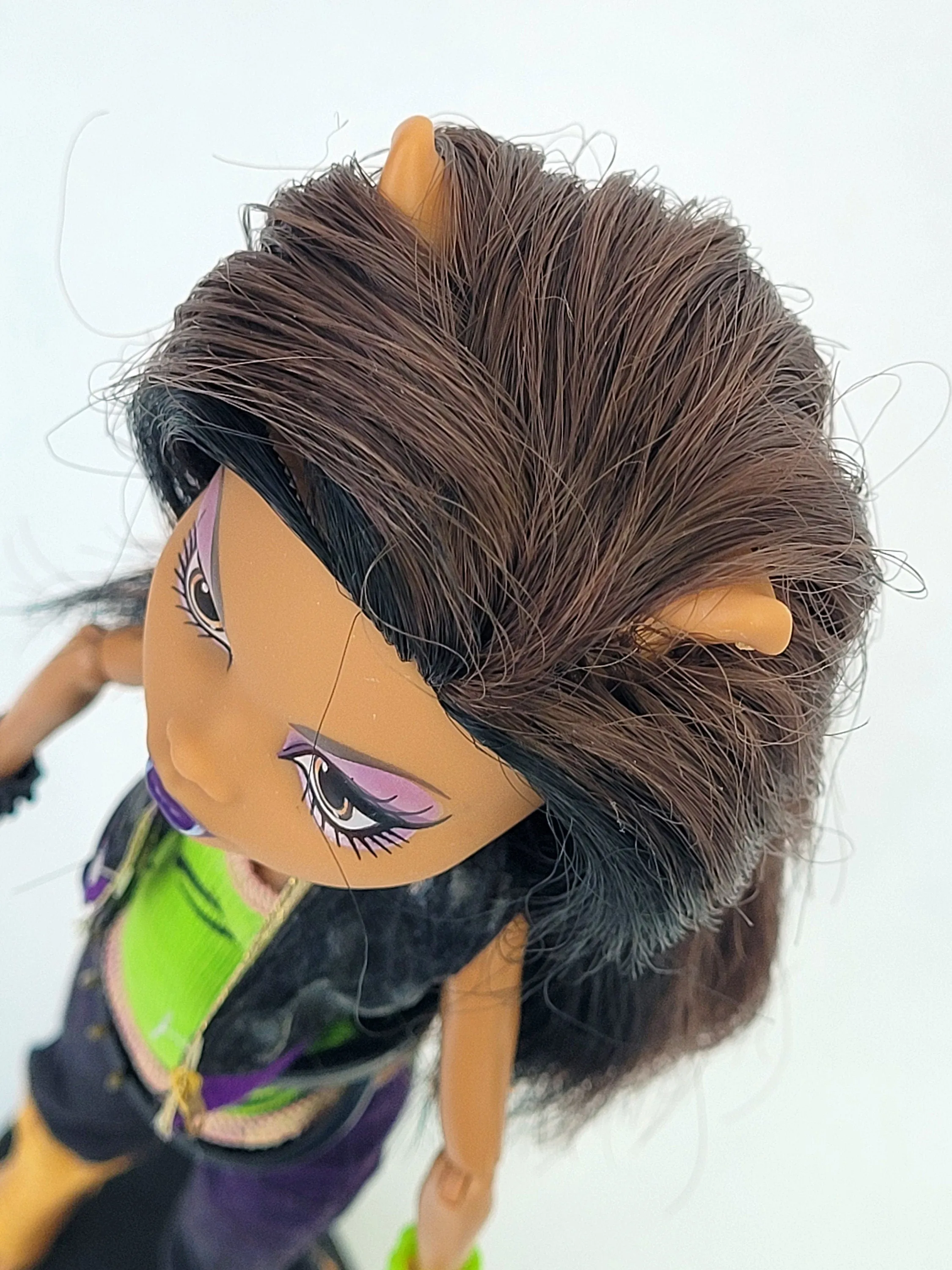 Monster High Doll Clawdeen Wolf I love Fashion for Collectors, OOAK Repaints, Playing, Original Accessories and Clothes, Extremely Rare Doll