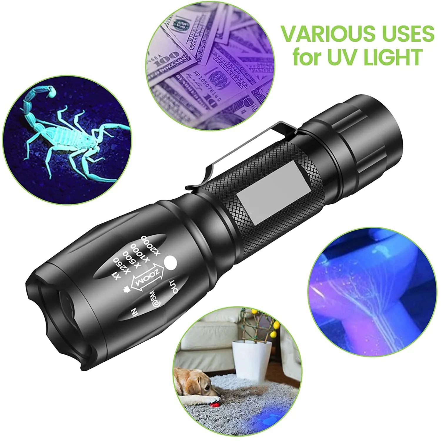 MOWETOO UV Flashlight | 2 In 1 395Nm LED Flashlight With UV Light