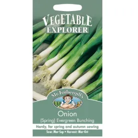 Mr Fothergill's Onion (Spring) Evergreen Bunching Seeds