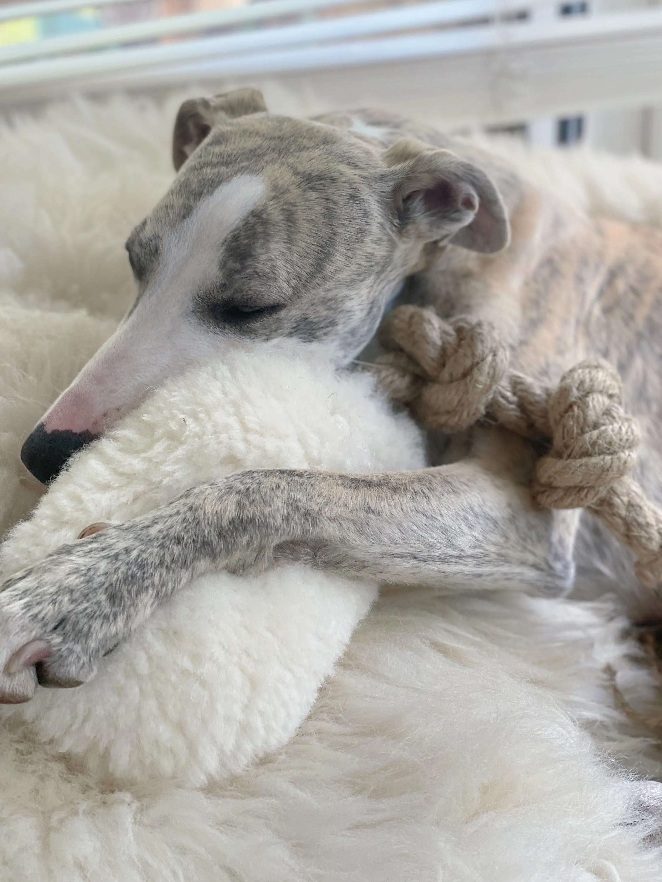 Natural Sheepskin Dog Tug Toy - White