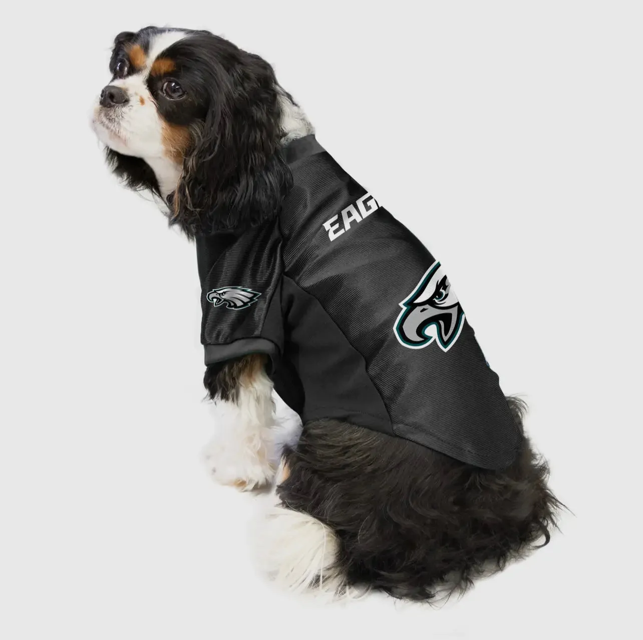 NFL Philadelphia Eagles Pet Stretch Jersey