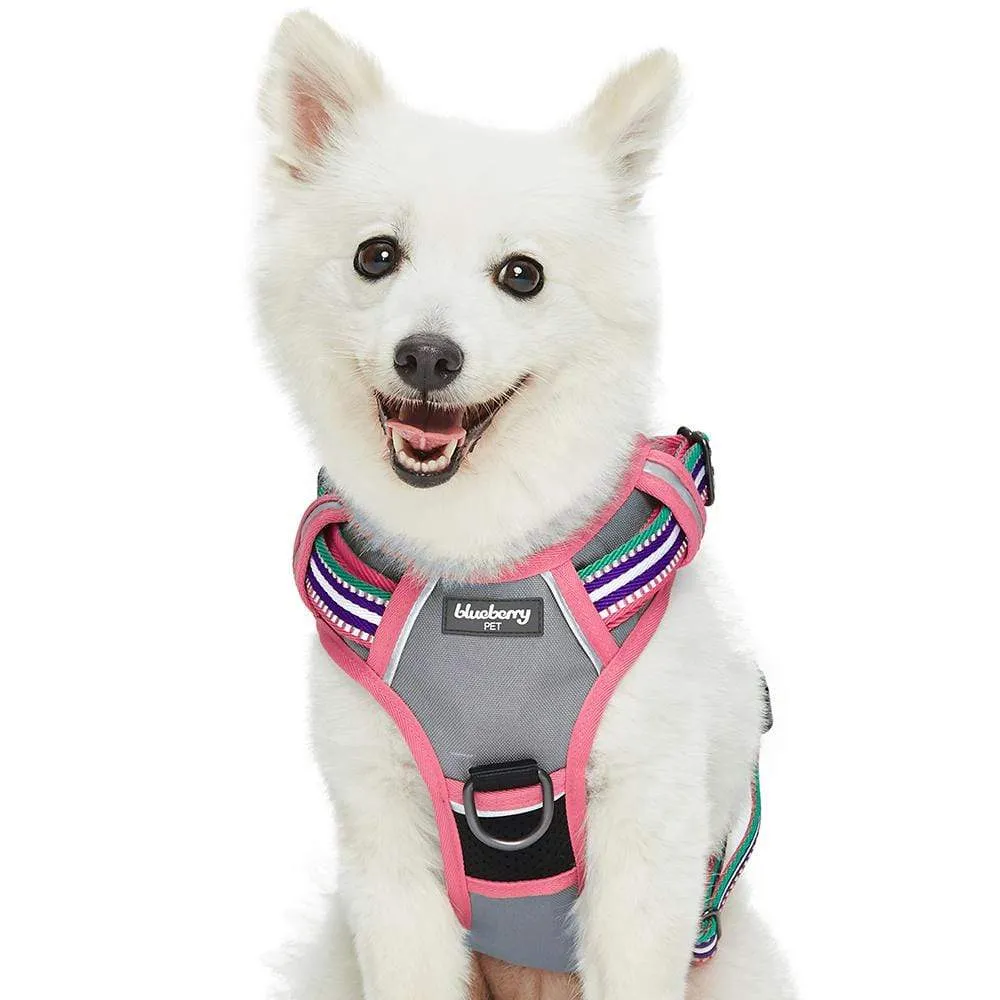 No Pull | 3M Reflective Dog Harness Vest with Handle in Multi-colored Stripes