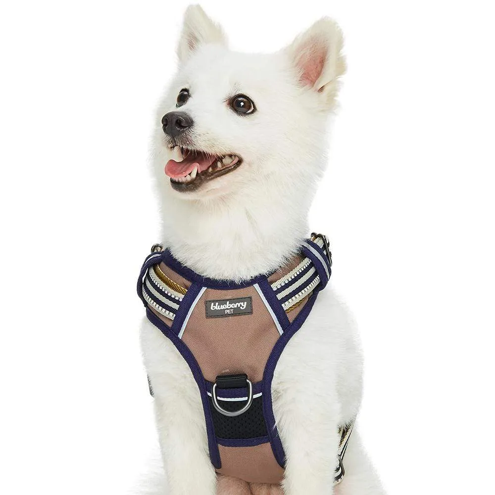 No Pull | 3M Reflective Dog Harness Vest with Handle in Multi-colored Stripes