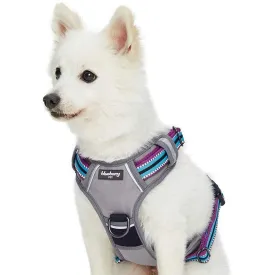 No Pull | 3M Reflective Dog Harness Vest with Handle in Multi-colored Stripes