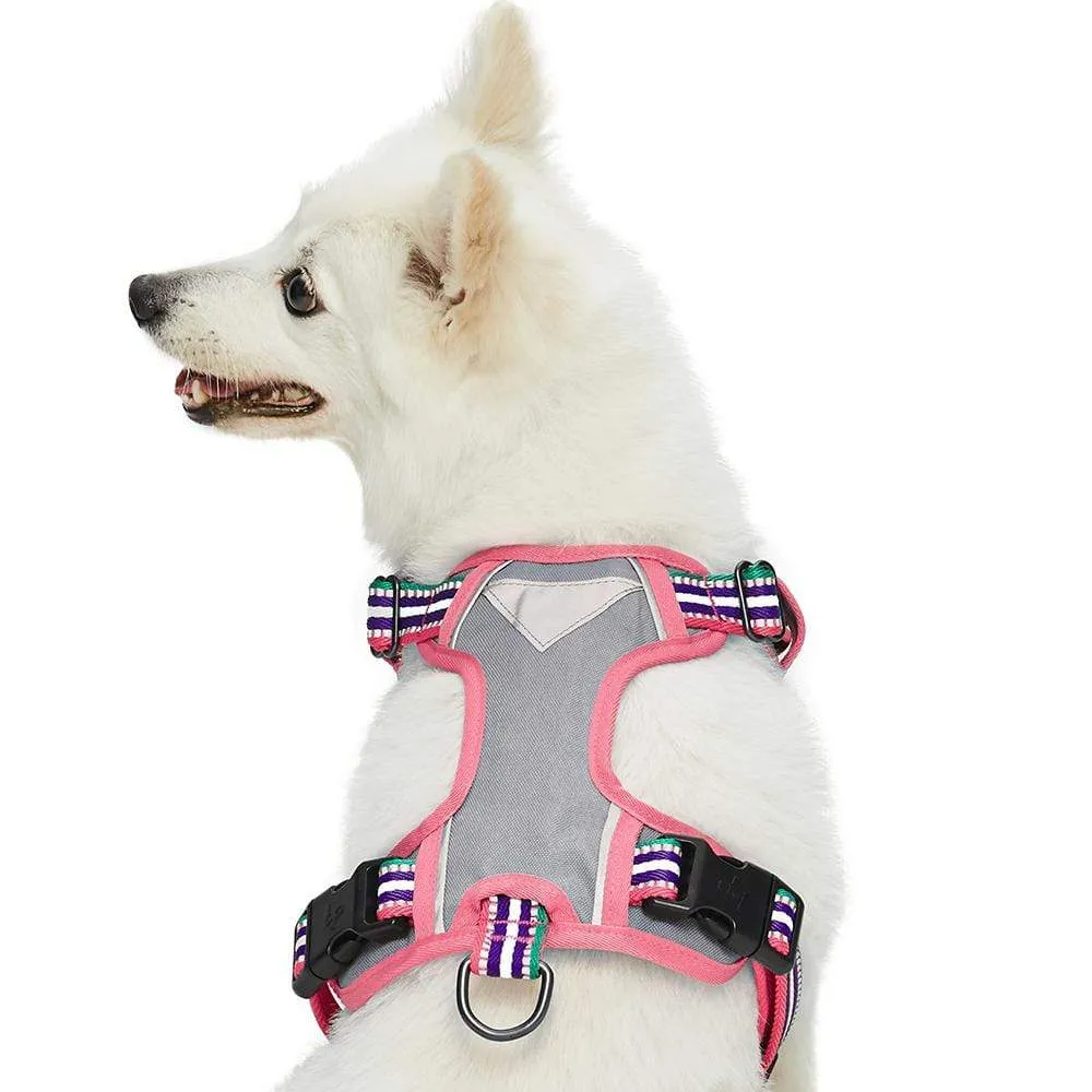 No Pull | 3M Reflective Dog Harness Vest with Handle in Multi-colored Stripes