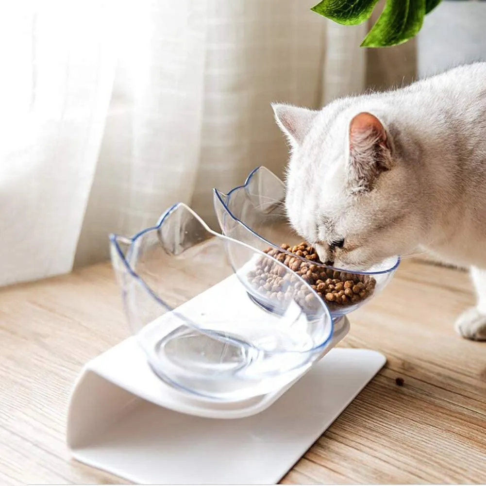 Non Slip Double Pet Food Feeding Bowl With Raised Stand to Protect Cervical Vertebra