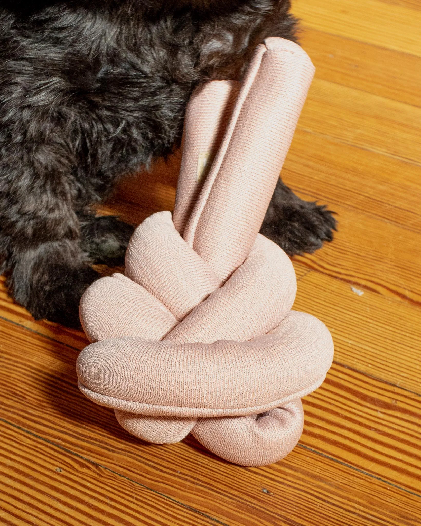 NouNou Interactive Dog Toy in Dogwood