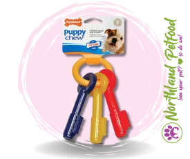 Nylabone Puppy Teething Keys