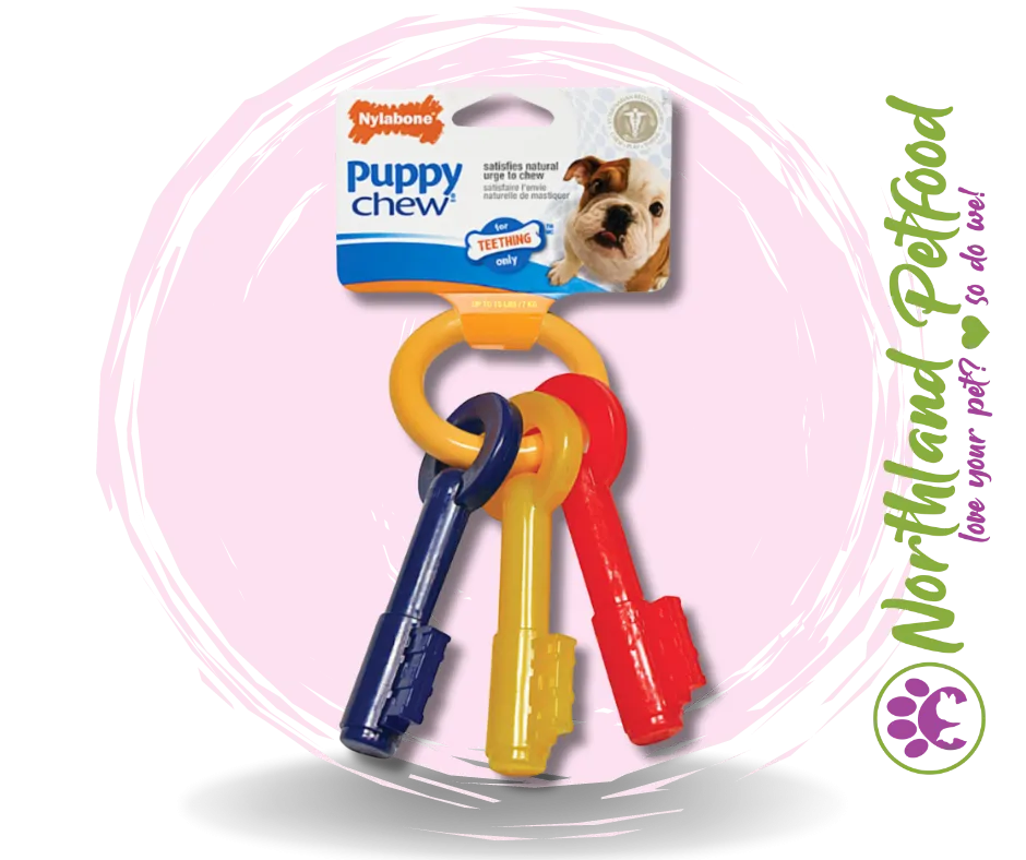 Nylabone Puppy Teething Keys