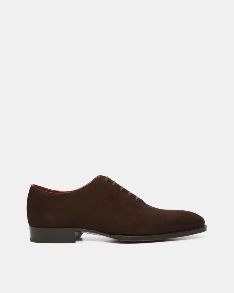 Outlet - Miquel - Brown Suede - Louvre