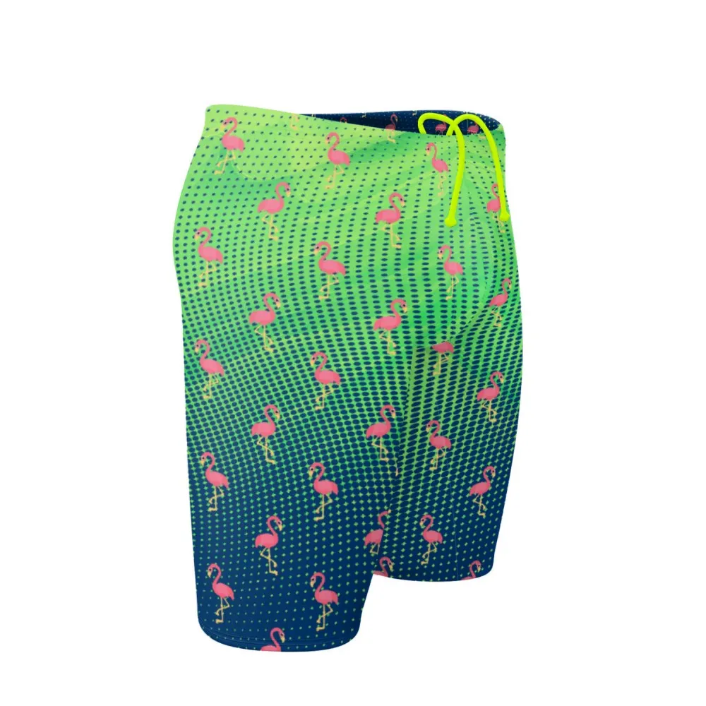 Party Flamingos Jammer Swimsuit