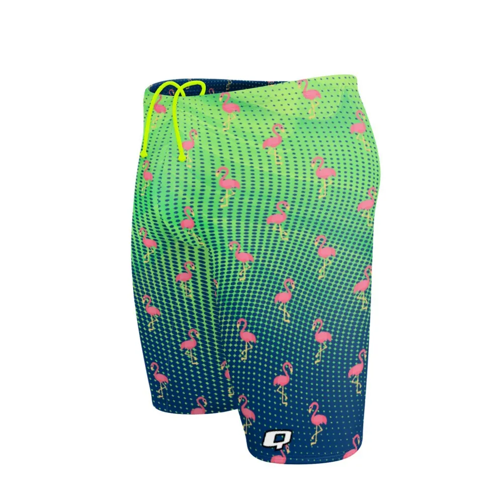 Party Flamingos Jammer Swimsuit