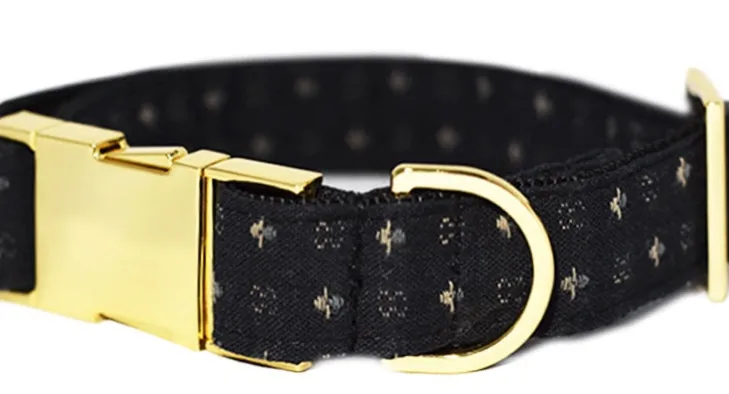 Pattefrenz Sprinkles Gold Collar & Leash Set (Medium)