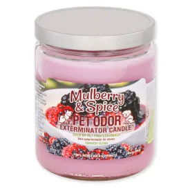 Pet Odor Exterminator Candle, Mulberry & Spice, 13 oz