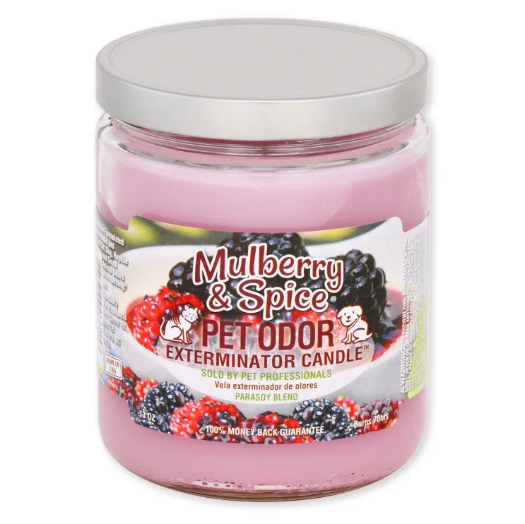 Pet Odor Exterminator Candle, Mulberry & Spice, 13 oz