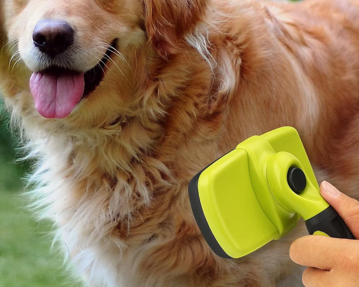 Pet Self Cleaning Slicker Brush