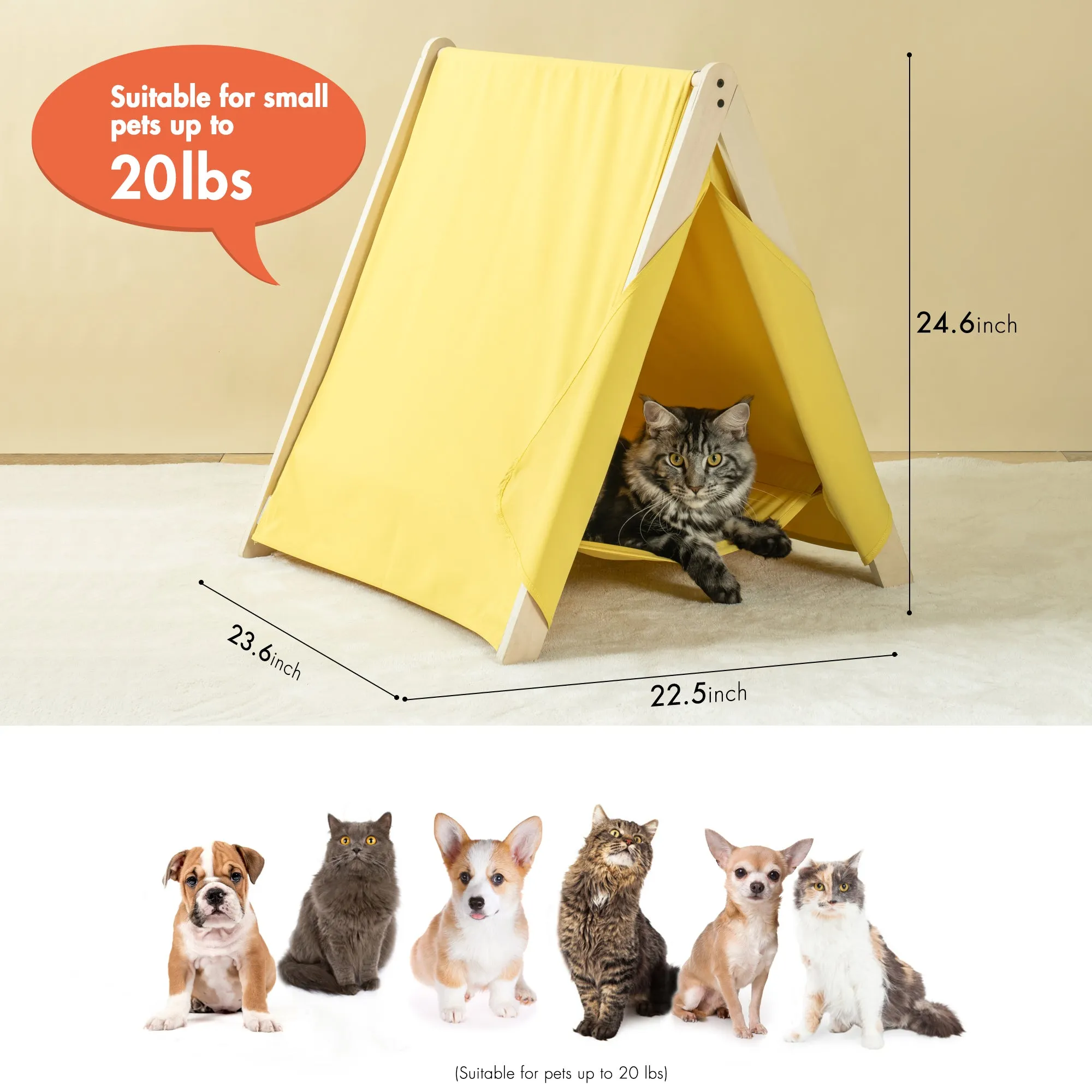 Pet Tent