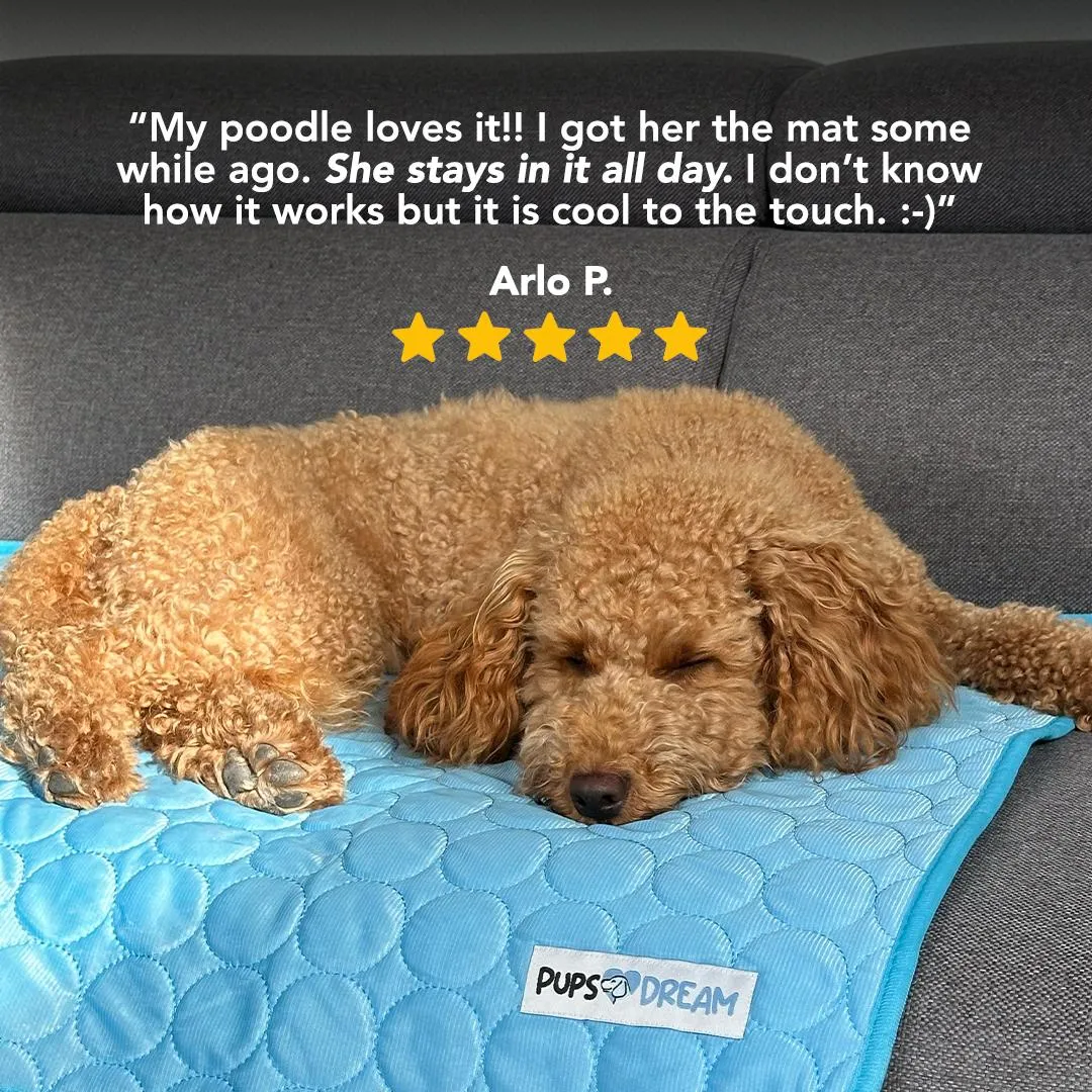 PetCool™ V.3 - Pet Cooling Mat