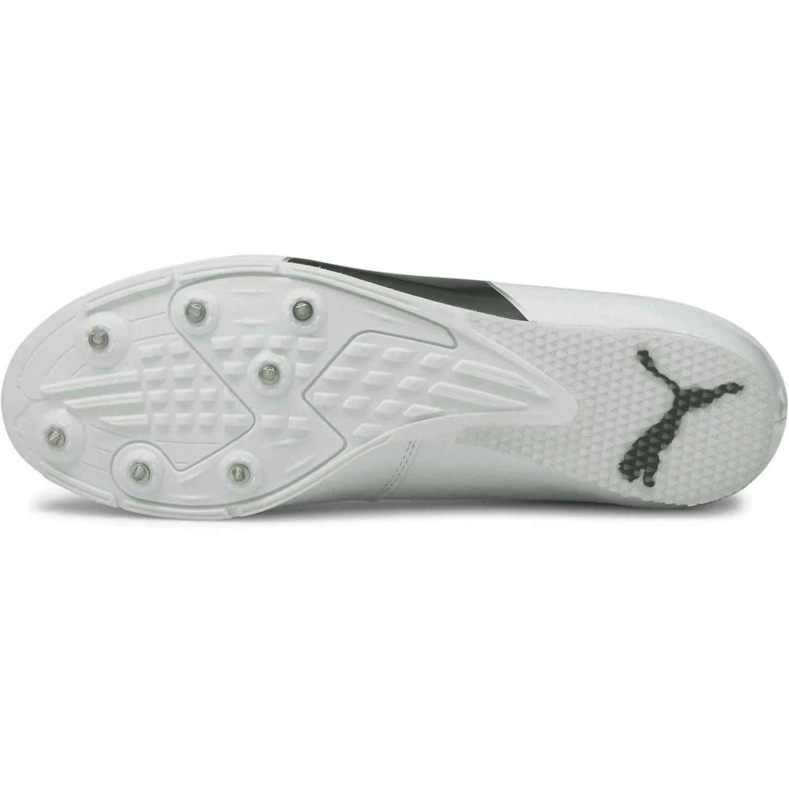 Puma evoSpeed Long Jump 6 Field Event Spikes - White