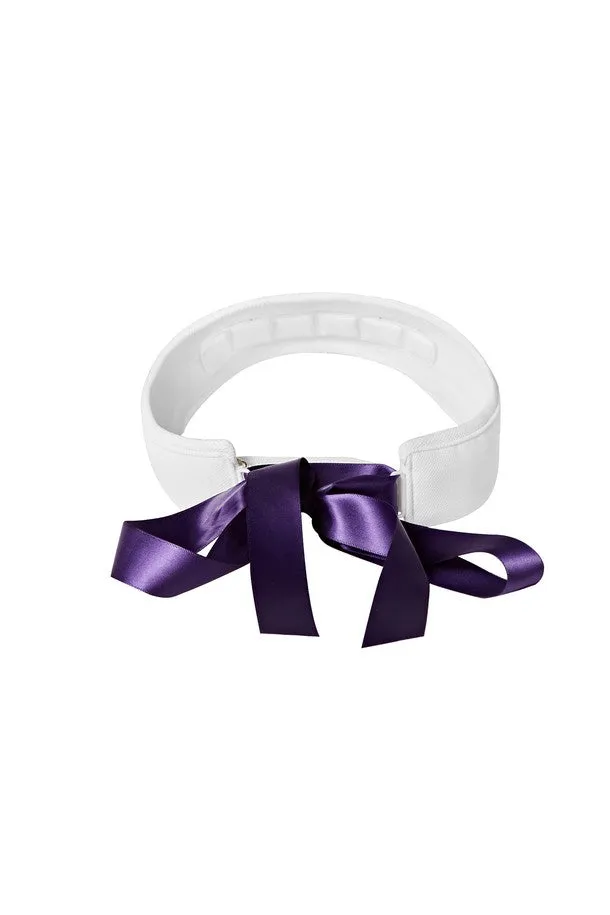 PURPLE BLOOD ARCH SYMBOL Ribbon Sun Visor