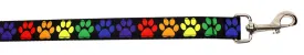 Rainbow Paws Nylon Pet Leash 1in By 6ft