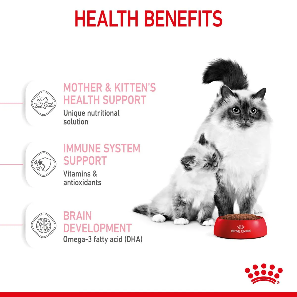 Royal Canin | Dry Cat Food | Kitten | First Age Mother & Babycat