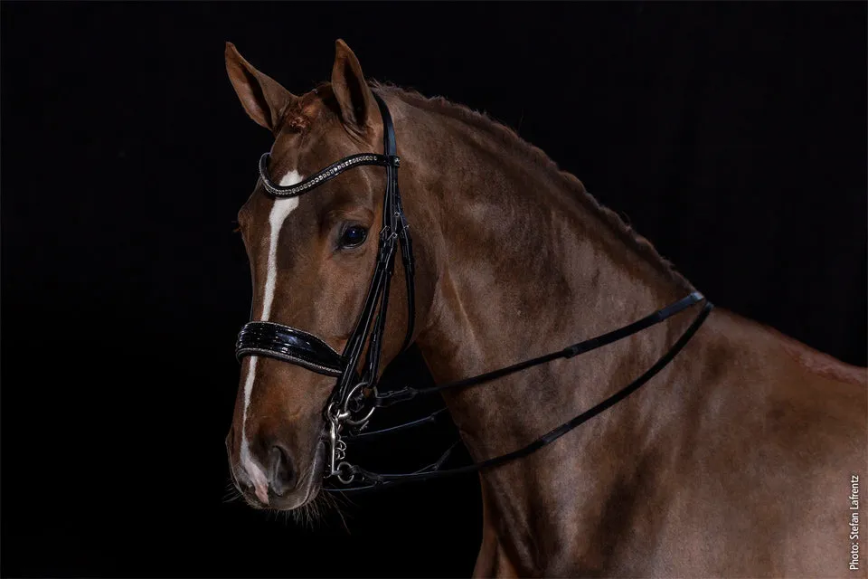 Schockemohle Double Bridle Milan Glam