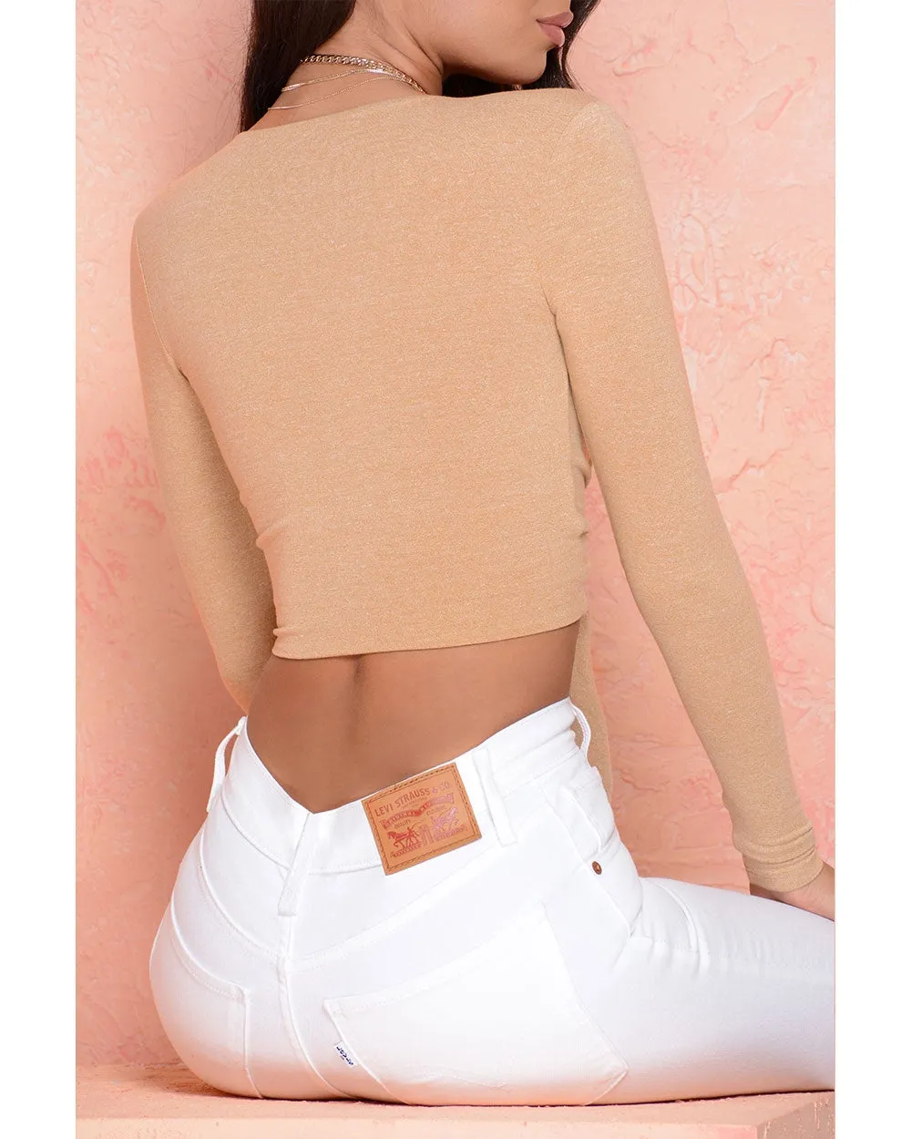 Self Centered Long Sleeve Plunge Tie Front Top in Beige