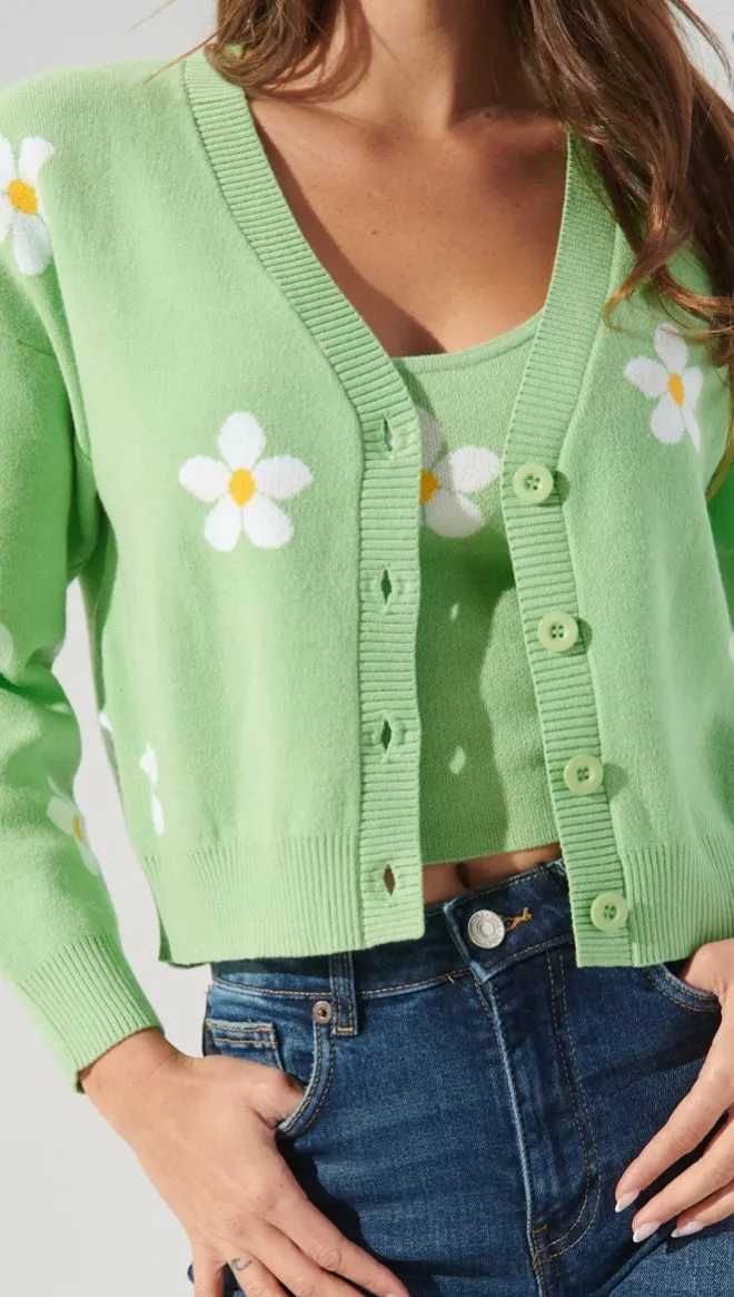 SET - Daisy Sweater & Top