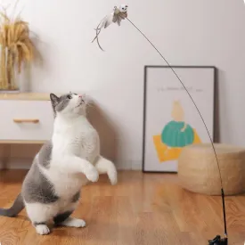 Interactive Pet Toy