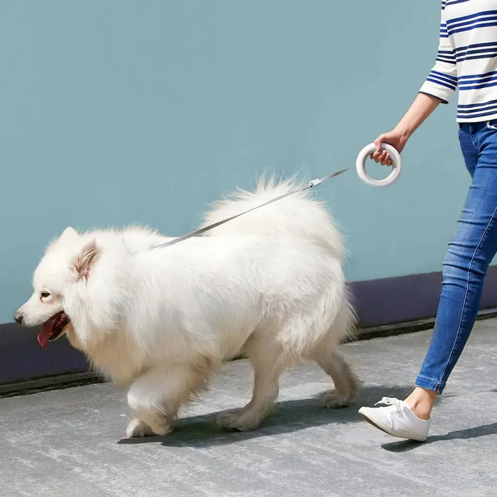 Smart LED Retractable Dog Leash - Type A