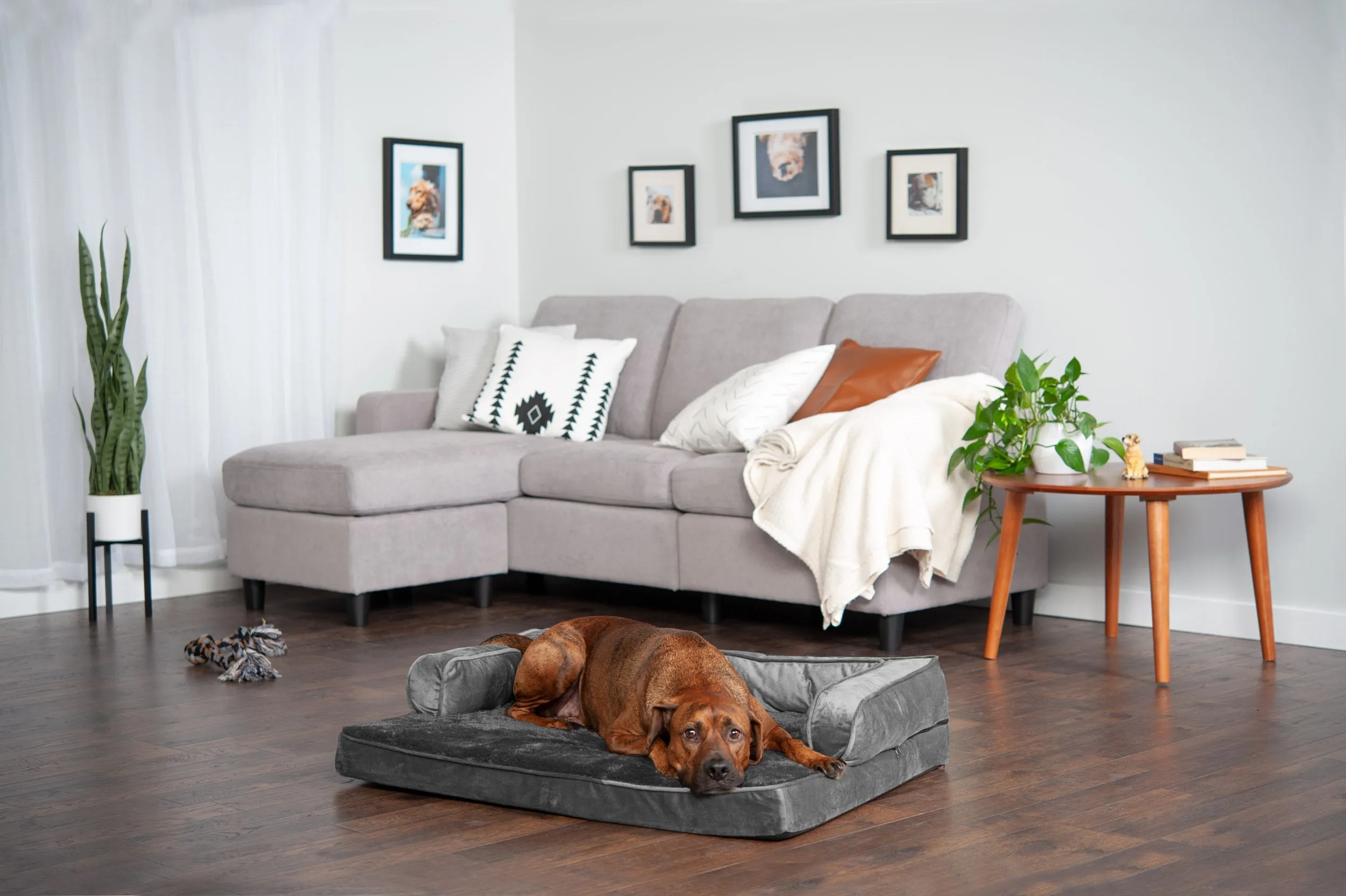 Sofa Dog Bed - Plush & Velvet Comfy Couch