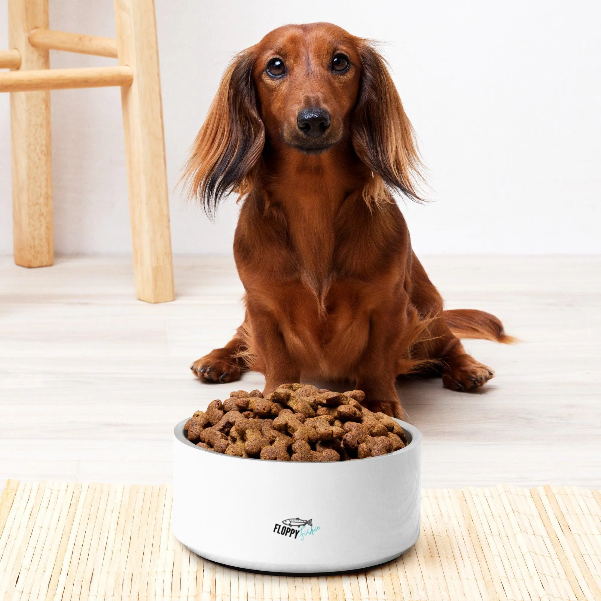 Stainless Steel Dog Bowl