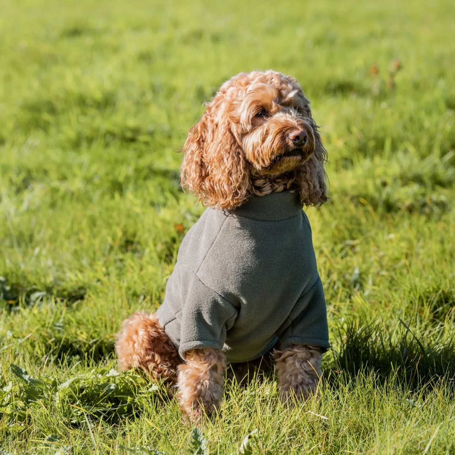 Stix Waterproof Fleece Coats for Dachshunds