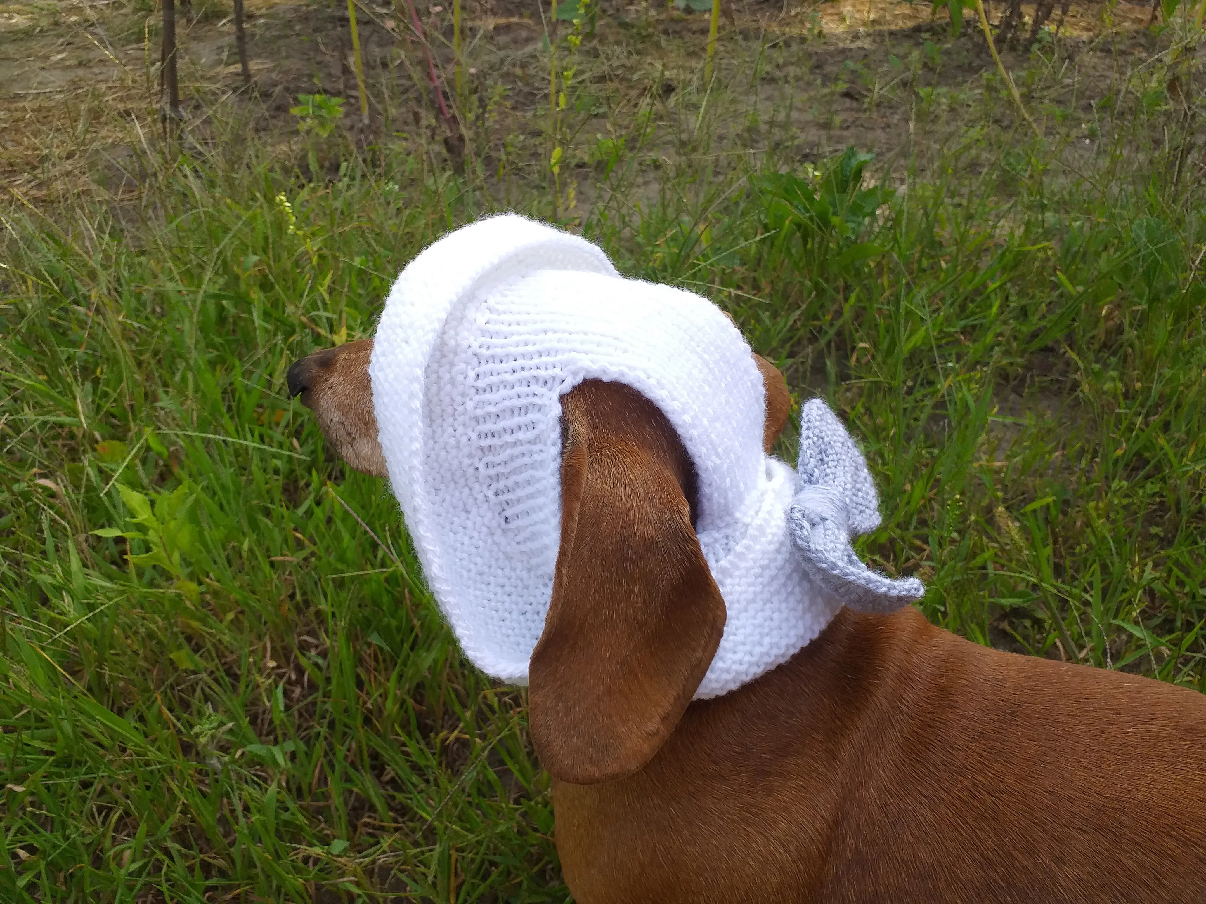 Summer knitted hat for dogs, panama for dogs,  hat for dog