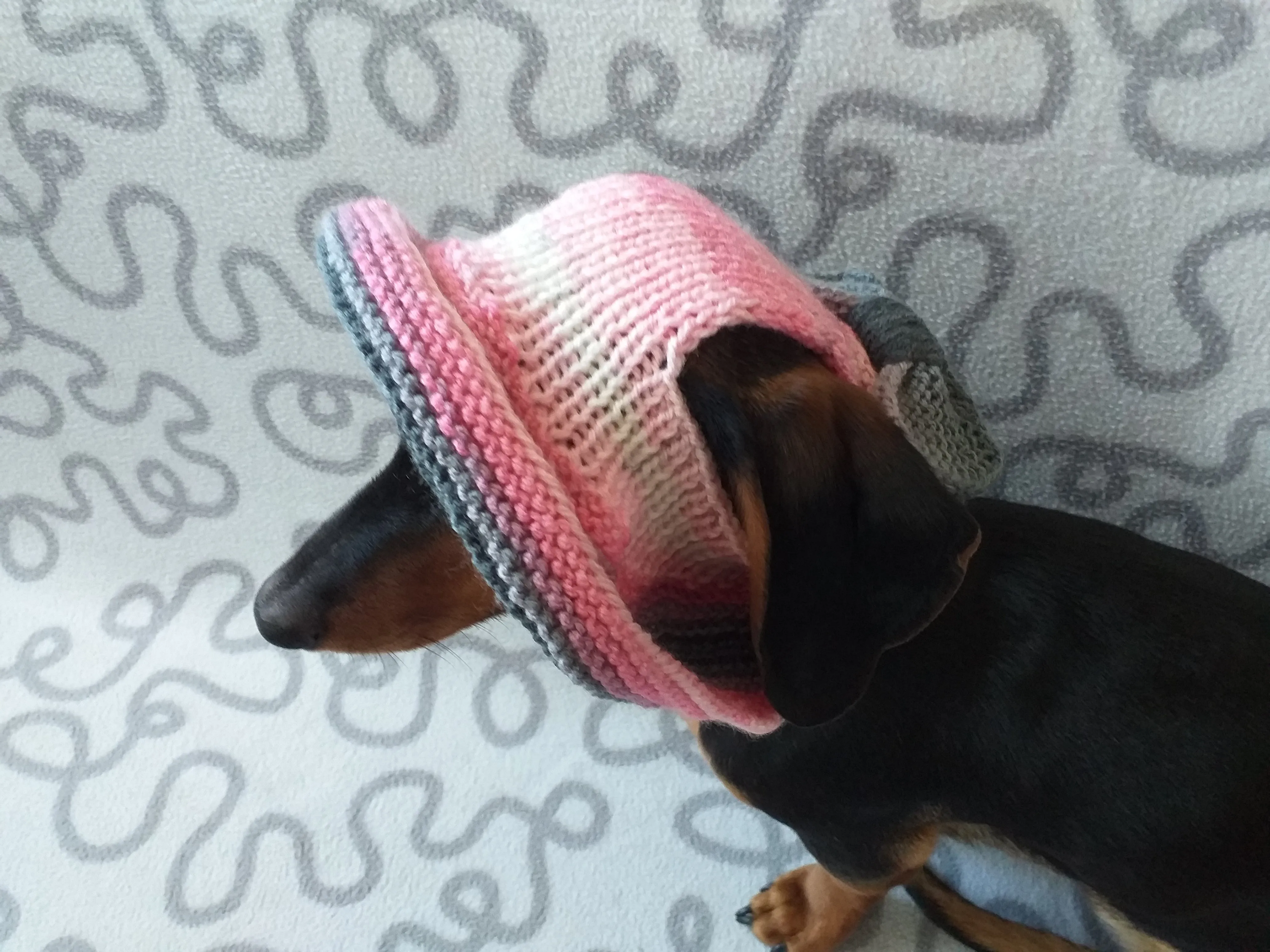 Summer knitted hat for dogs, panama for dogs, hat for dogs, hat for dachshund, accessories for dogs, gift for dogs, dog clothes,hat the sun