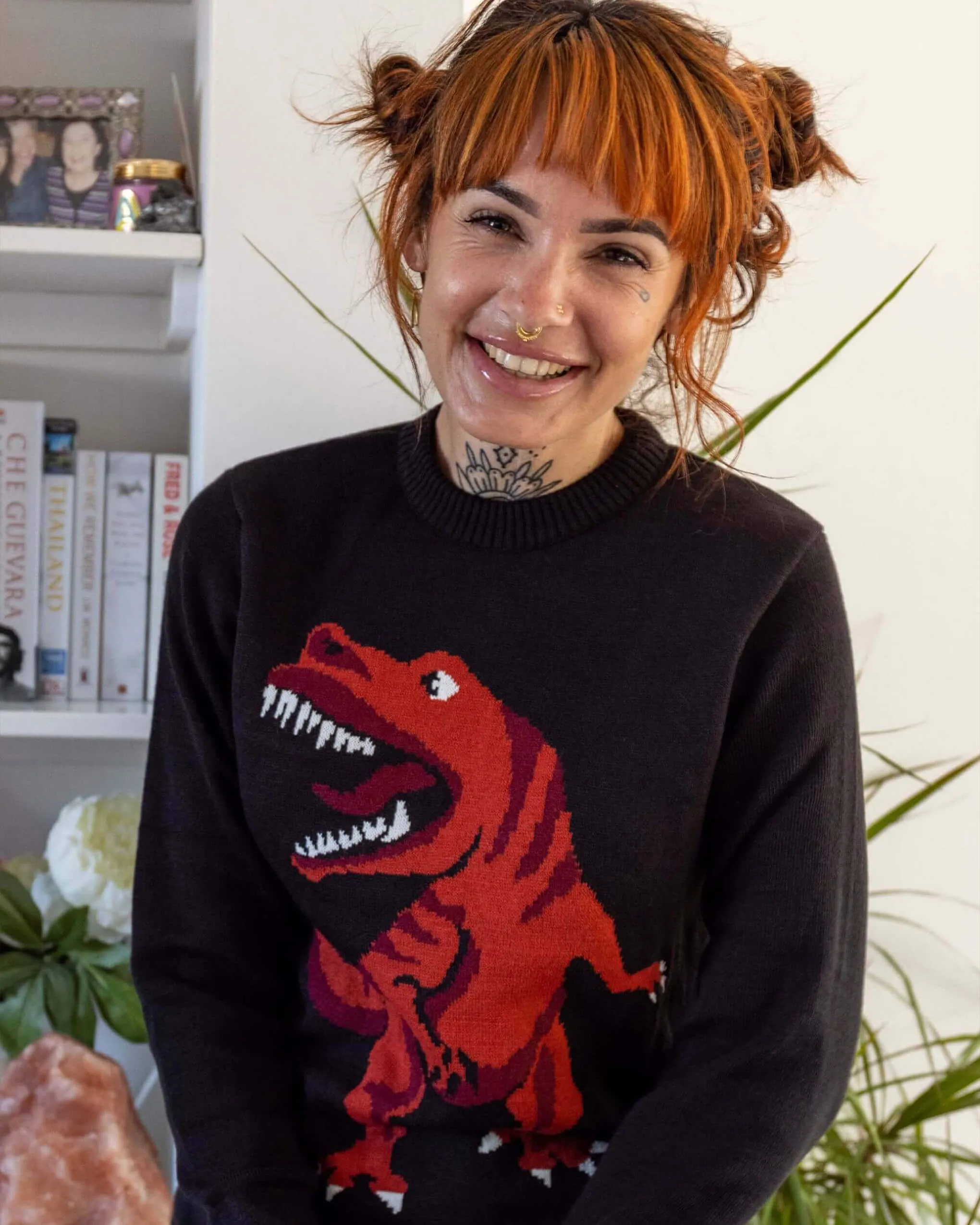 T Rex Dino-Roar Jumper