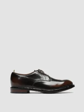 TEMPLE 018 - Brown Leather Derby Shoes