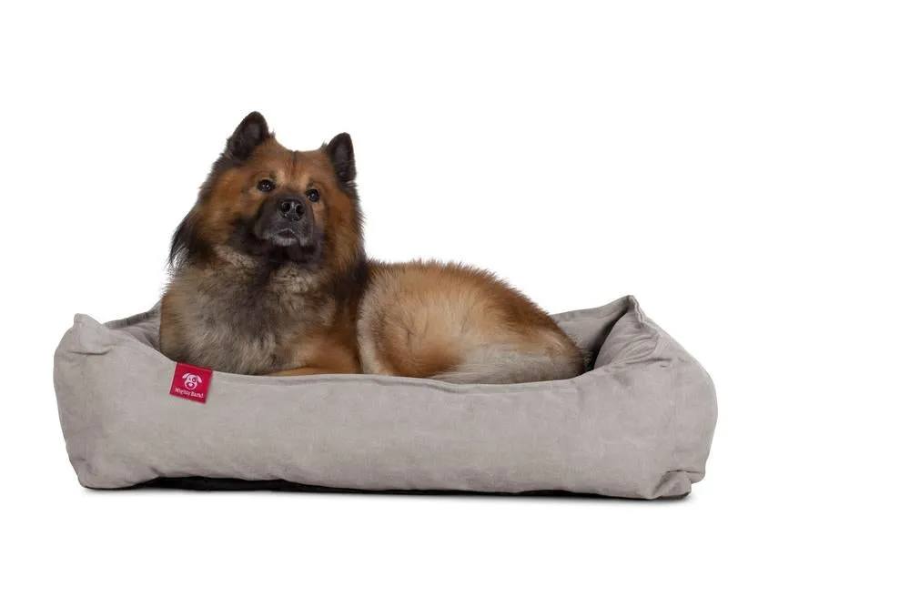 The Nest Orthopedic Memory Foam Dog Bed - Canvas Pewter