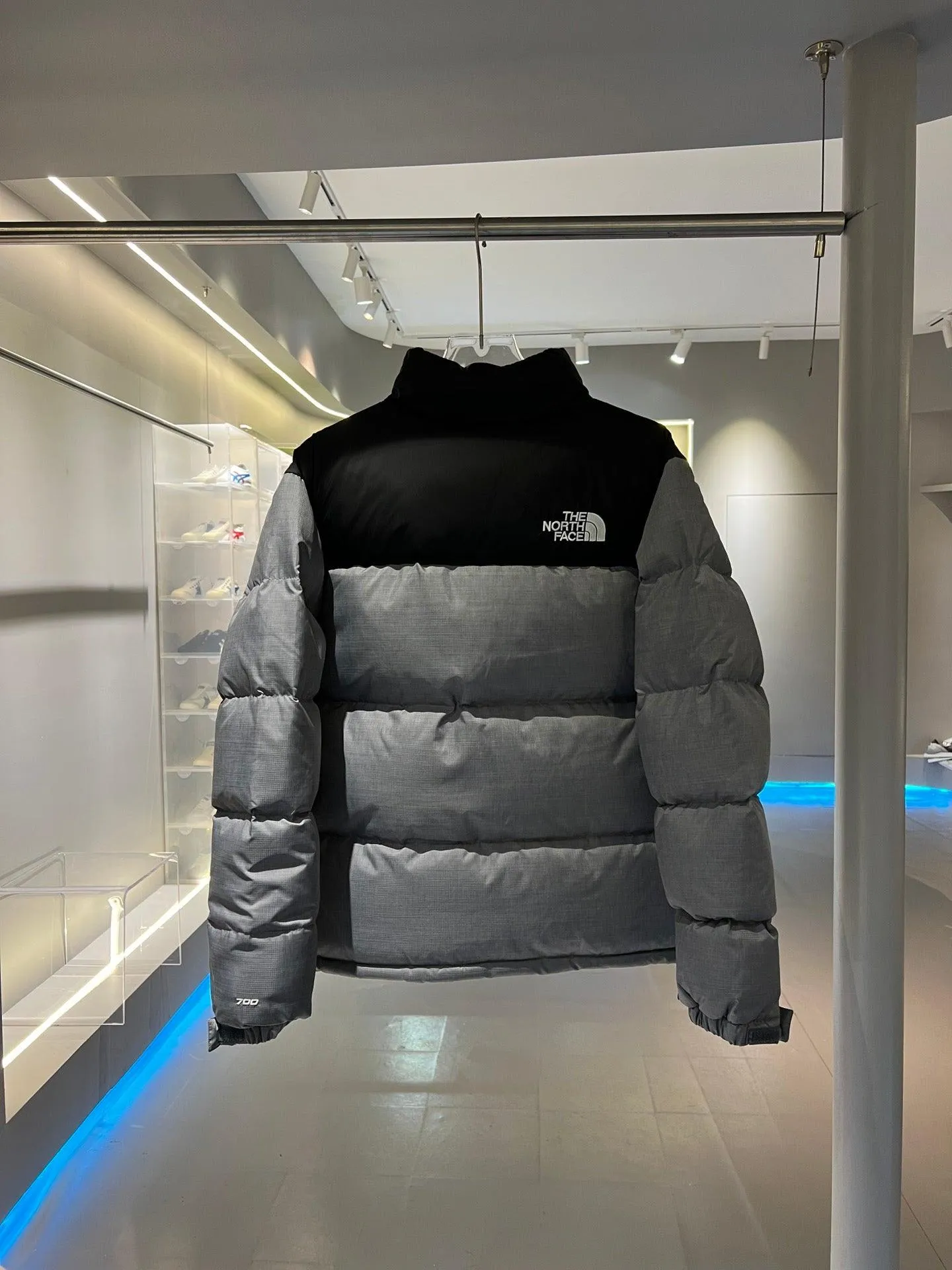 The North Face Nuptse Retro Metallic