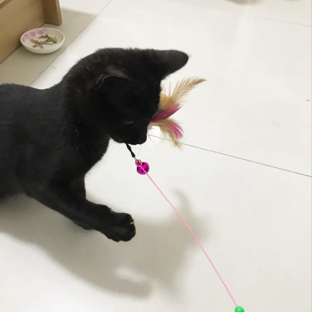 Timeless Cat Interactive Toy Stick